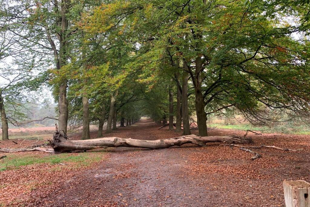 Herberg de Pas Haarle Buitenkant foto