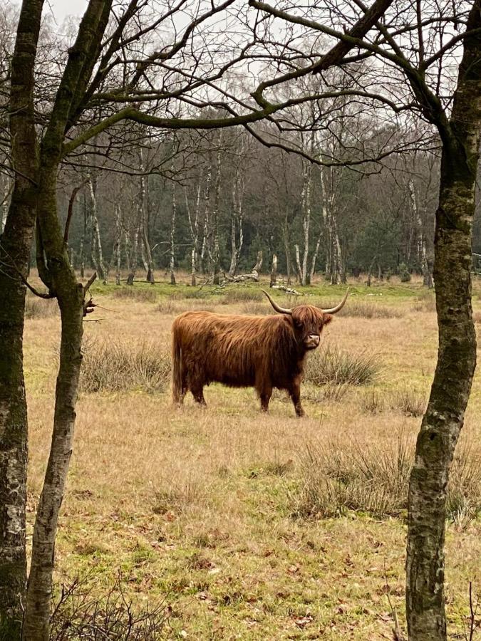 Herberg de Pas Haarle Buitenkant foto